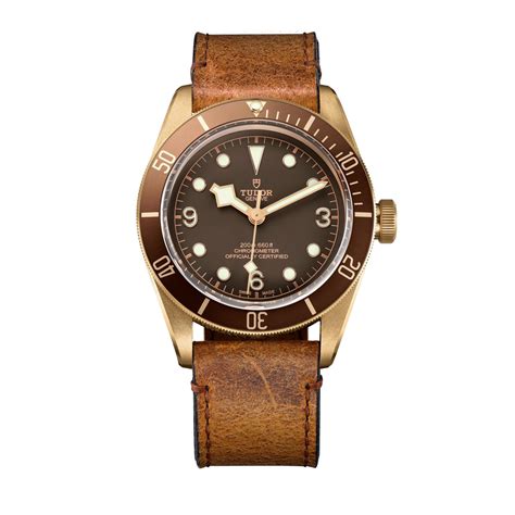 tudor bronze prezzo|tudor black bay bronze watch.